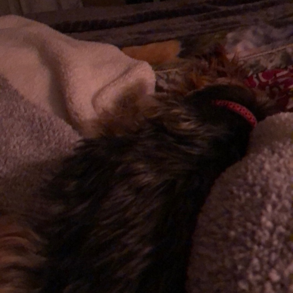 Meet your Posher, Kaykayoko